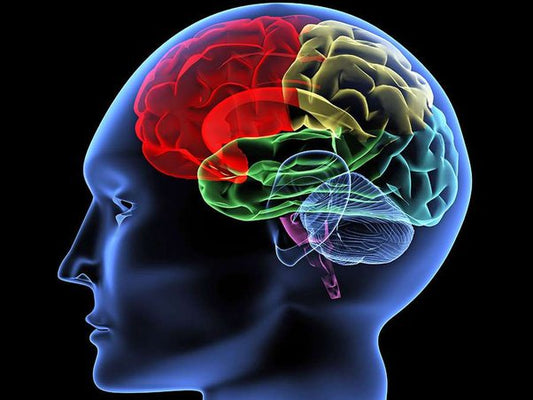 Pain Stimming: Understanding the Need for Intense Sensory Input