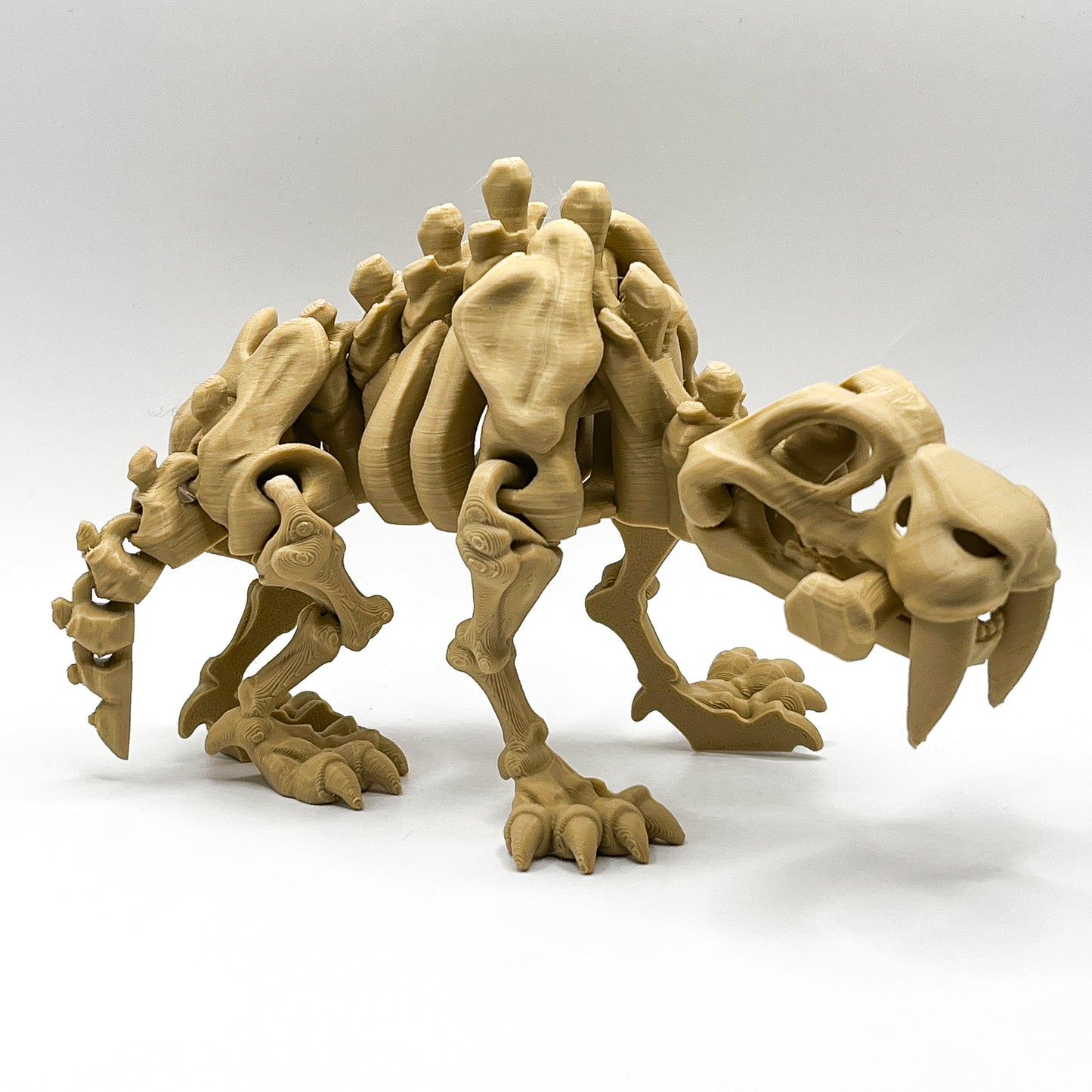 Articulated Flexi-Pet - Skeleton Sabre-Tooth Tiger